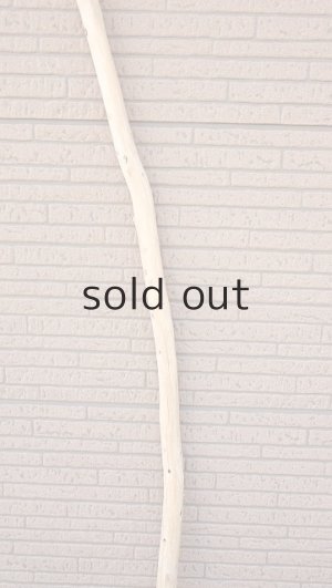 画像3: 棒流木・長尺