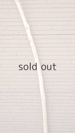 画像3: 棒流木・長尺