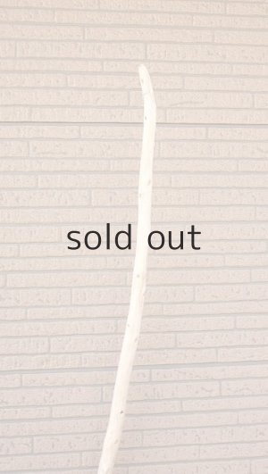 画像4: 棒流木・長尺