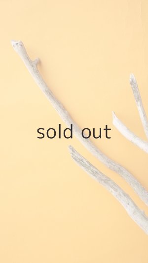 画像4: 流木根（中型）