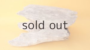 画像6: 変形流木