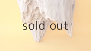 画像2: 変形流木