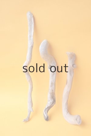 画像2: 流木根セット