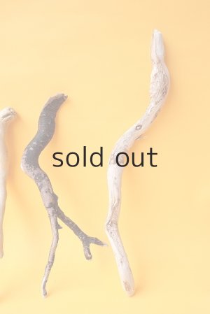 画像4: 流木根セット