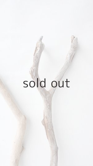 画像7: 小枝流木セット