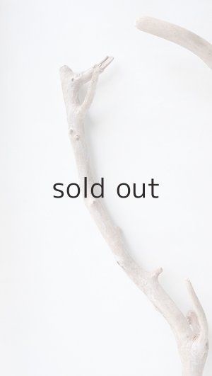 画像3: 小枝流木セット