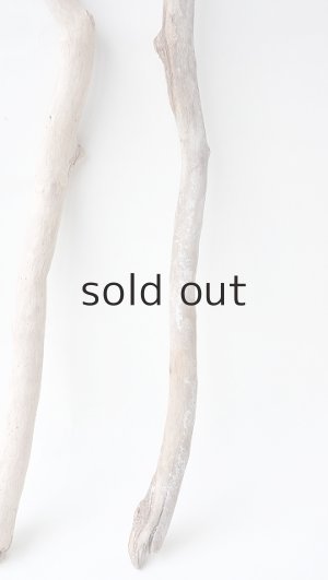 画像6: 小枝流木セット