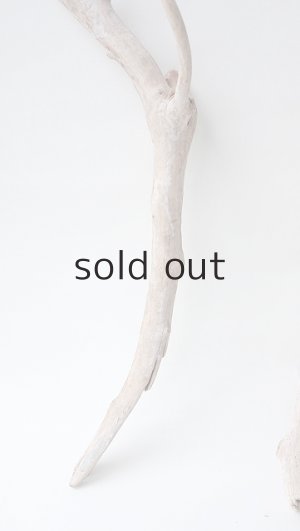 画像2: 小枝流木セット