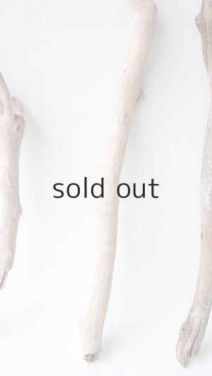 画像5: 小枝流木セット