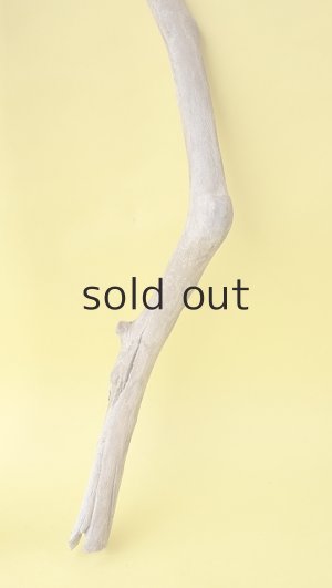 画像3: 枝流木セット