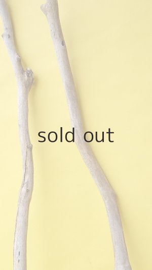 画像4: 枝流木セット