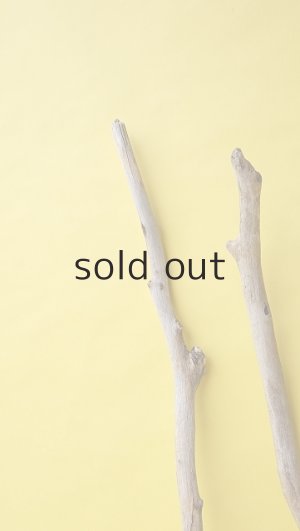 画像5: 枝流木セット