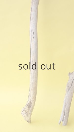画像2: 枝流木セット