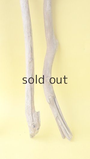 画像6: 枝流木セット