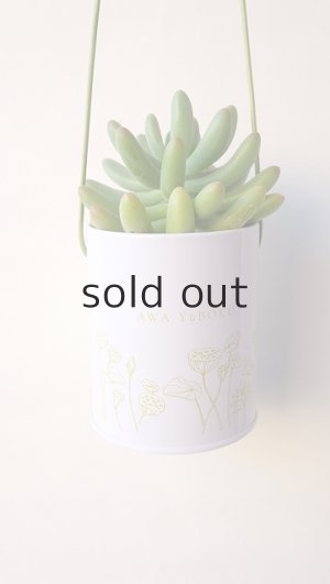 画像2: プラントハンガー・オリジナルスチール丸缶（穴開きタイプ）＋多肉植物・乙女心