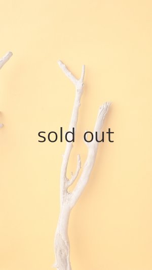 画像4: 流木根セット