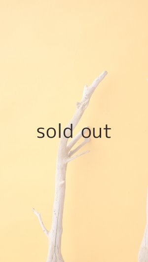 画像3: 流木根セット