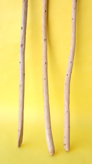 画像2: 棒流木セット