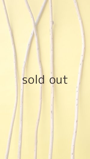 画像4: 棒流木セット