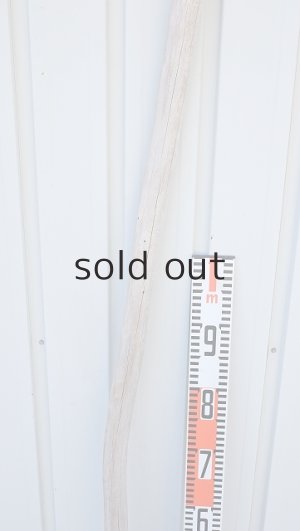 画像7: 棒流木・長尺