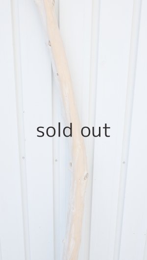 画像3: 幹流木・長尺