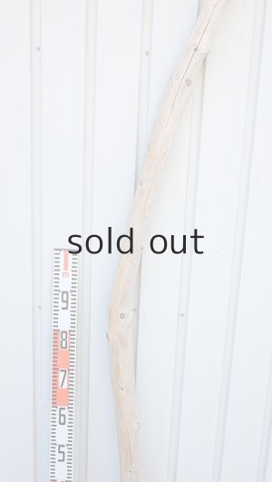 画像7: 幹流木・長尺