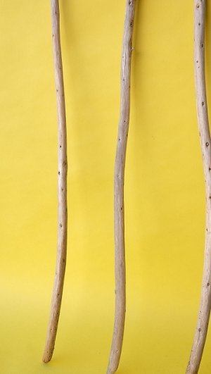 画像5: 棒流木セット