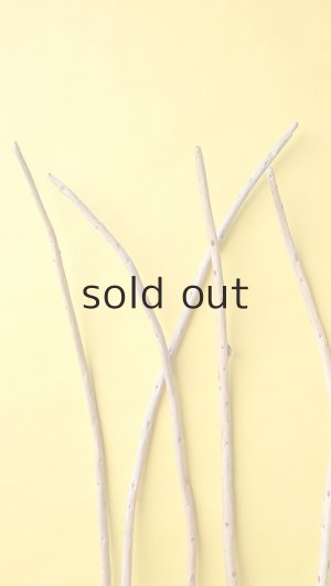 画像5: 棒流木セット