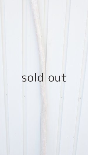 画像3: 棒流木・長尺