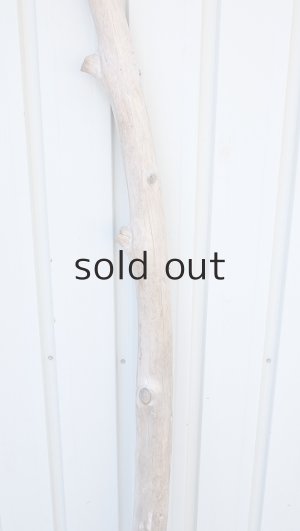 画像3: 幹流木・長尺