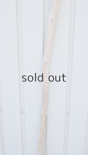 画像3: 棒流木・長尺