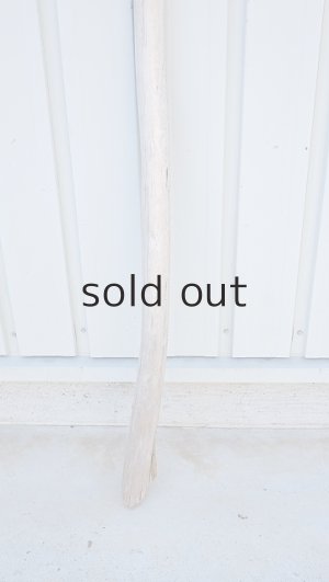 画像2: 棒流木・長尺