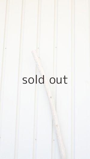 画像5: 棒流木・長尺