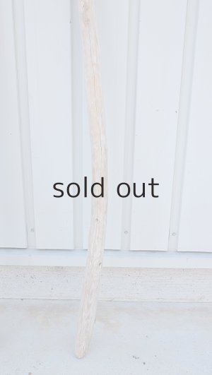 画像6: 棒流木・長尺