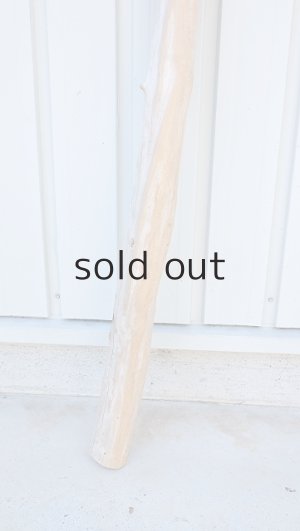 画像2: 幹流木・長尺