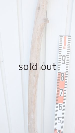 画像7: 幹流木・長尺