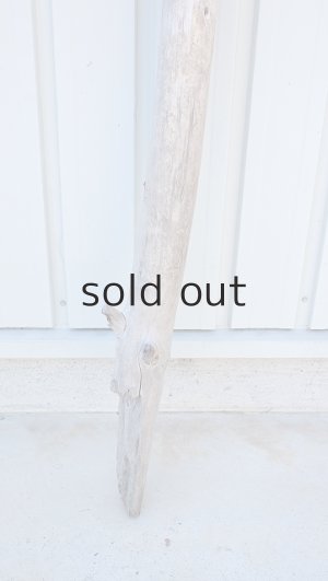 画像2: 幹流木・長尺