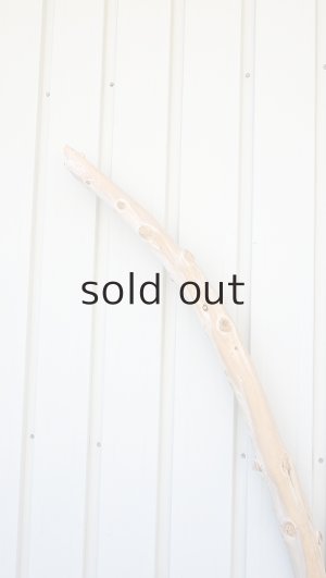 画像5: 幹流木・長尺