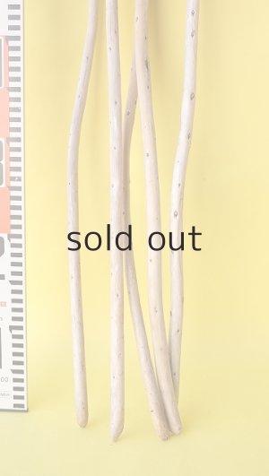 画像6: 棒流木セット