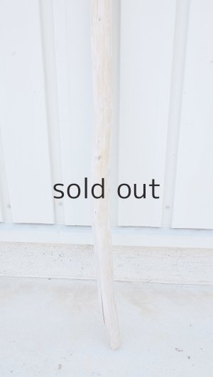 画像2: 棒流木・長尺