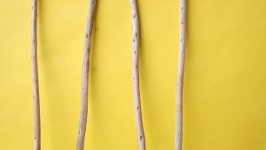 画像3: 棒流木セット