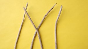 画像4: 棒流木セット