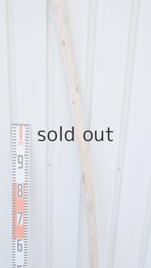 画像7: 棒流木・長尺