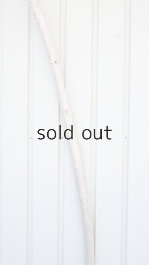 画像4: 棒流木・長尺