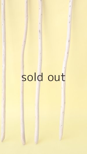 画像3: 棒流木セット