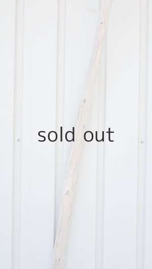 画像4: 棒流木・長尺