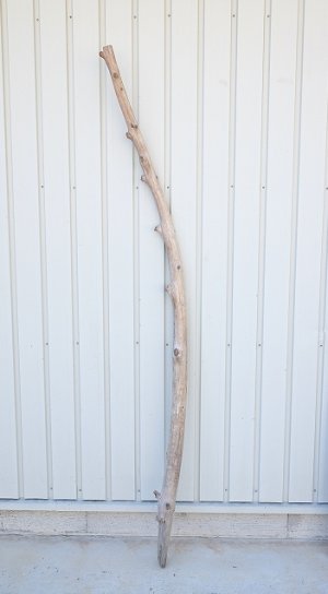 画像1: 幹流木・長尺