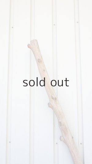 画像5: 幹流木・長尺