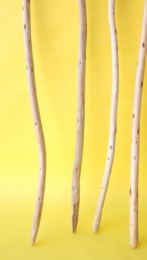 画像2: 棒流木セット