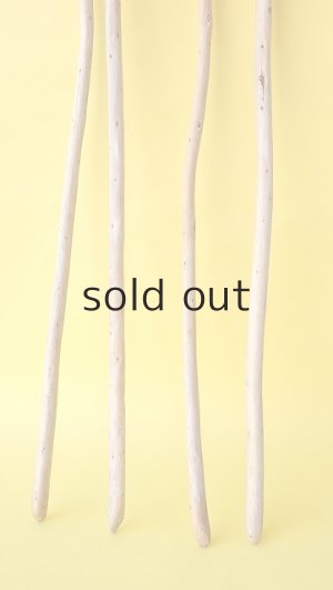 画像2: 棒流木セット